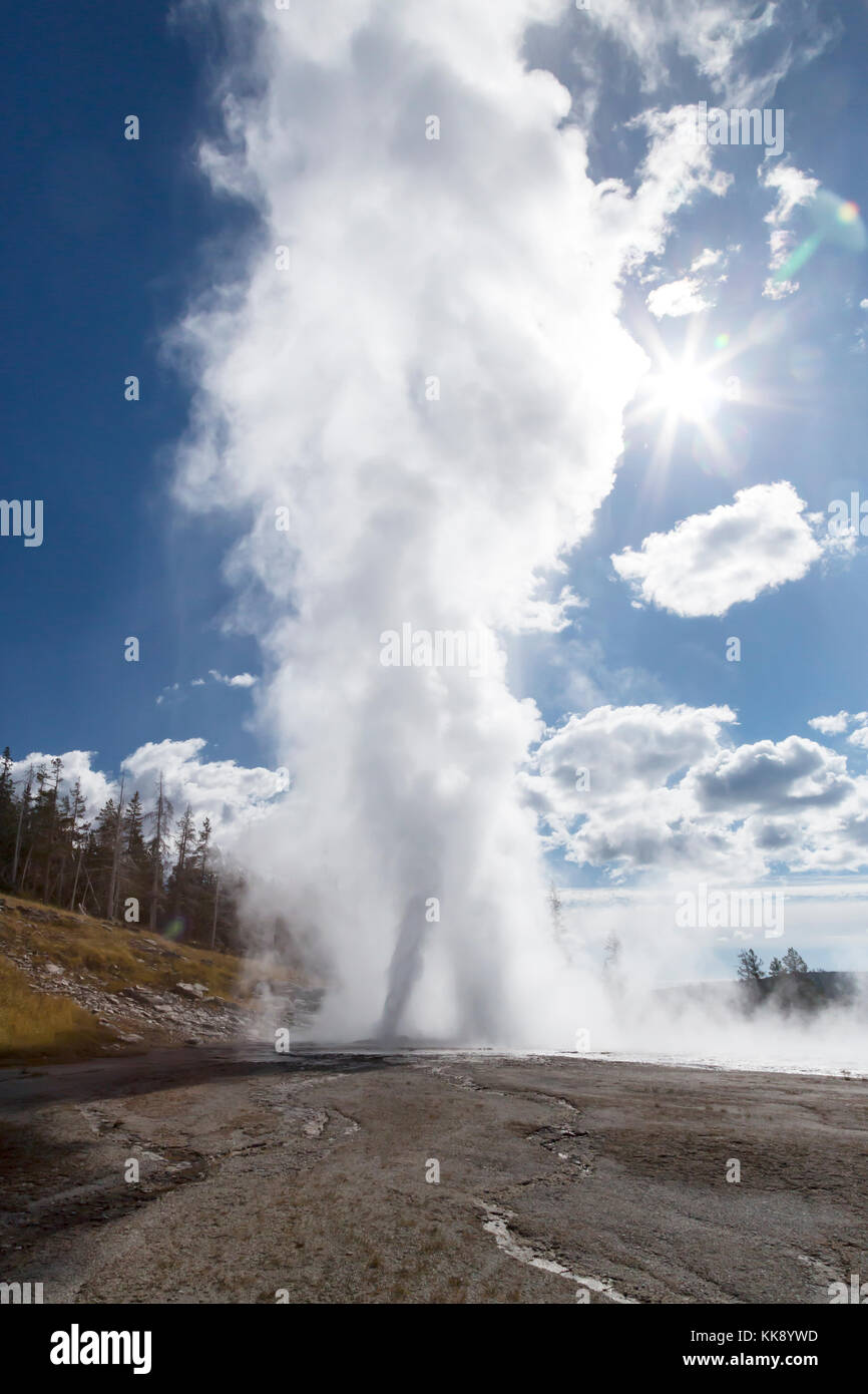 Grand Geyser en éruption caractéristique thermique dans la région de geyser Basin, parc national de Yellowstone Banque D'Images