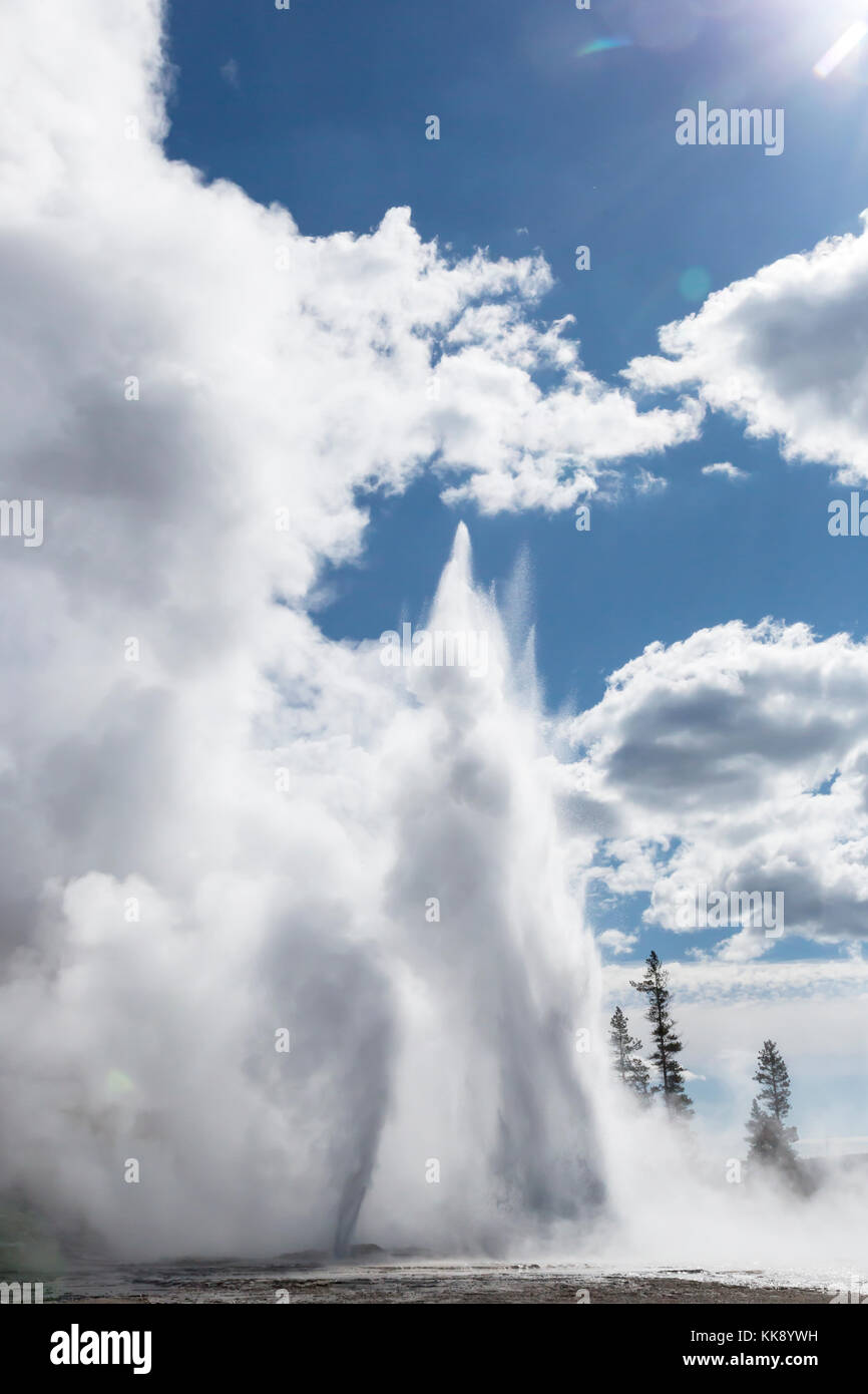 Grand Geyser en éruption caractéristique thermique dans la région de geyser Basin, parc national de Yellowstone Banque D'Images