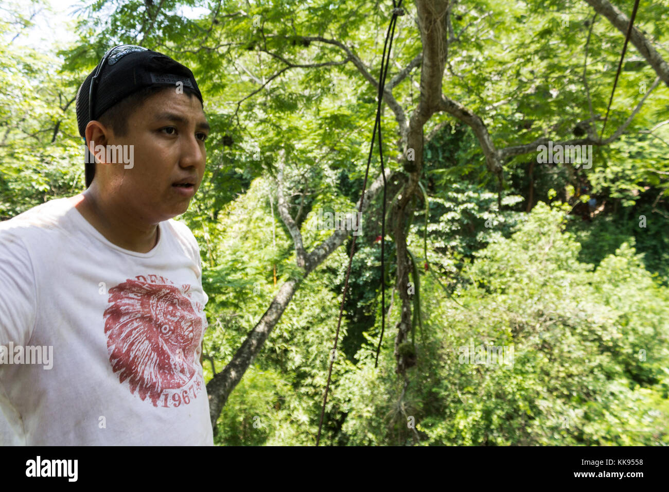 Un touriste va tyrolienne dans la forêt. Ciudad Valles, San Luis Potosí. Mexique Banque D'Images