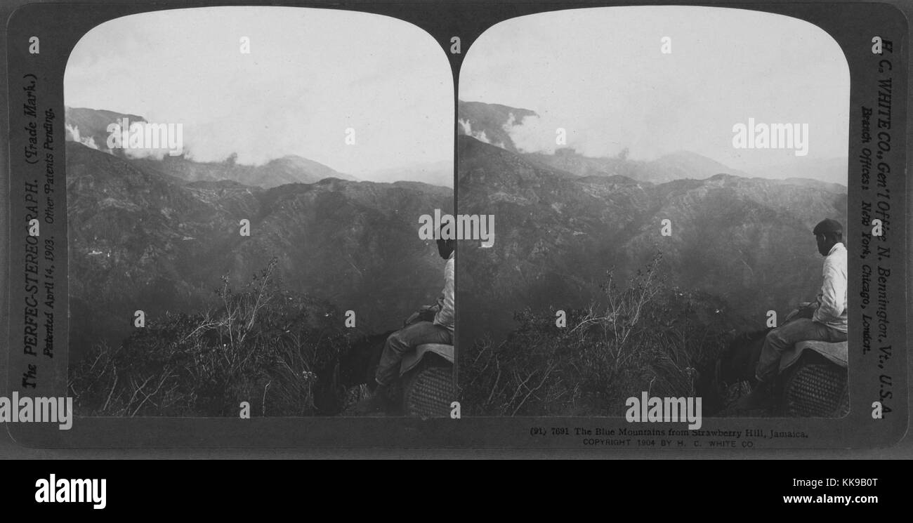 Les montagnes bleues de Strawberry Hill, Jamaïque, 1904. À partir de la Bibliothèque publique de New York. Banque D'Images