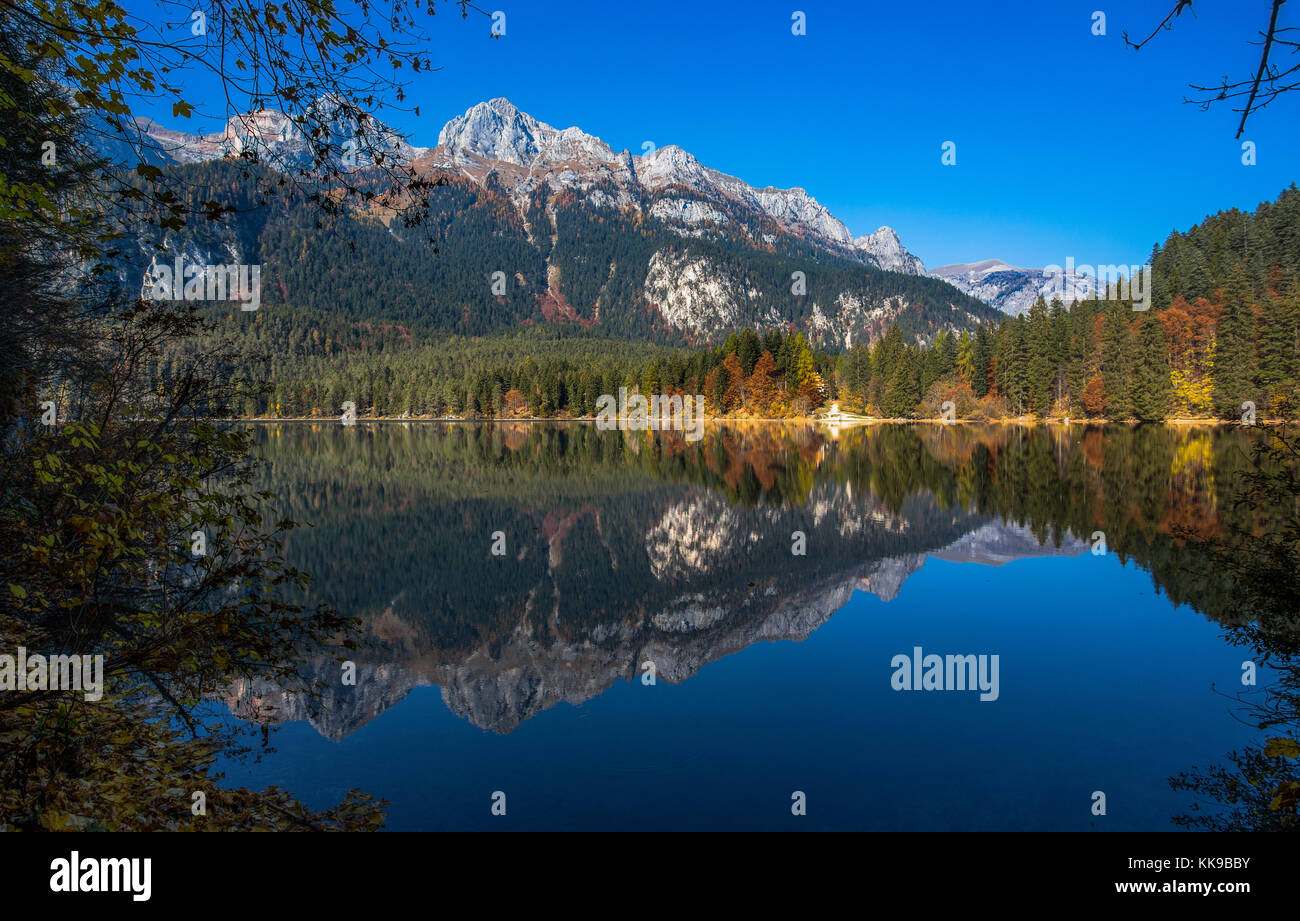 Vue automnale de tovel lac, Val di non dans le parc naturel d'Adamello Brenta-, Trentin Haut-Adige, Italie. Banque D'Images