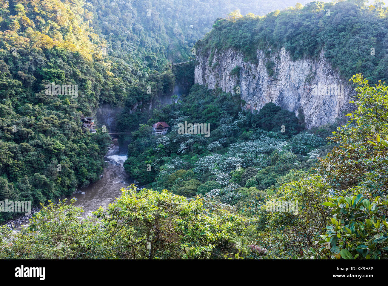 La forêt tropicale de montagne, près de la cascade pailon del diablo dans les Andes de l'équateur. banos. Banque D'Images