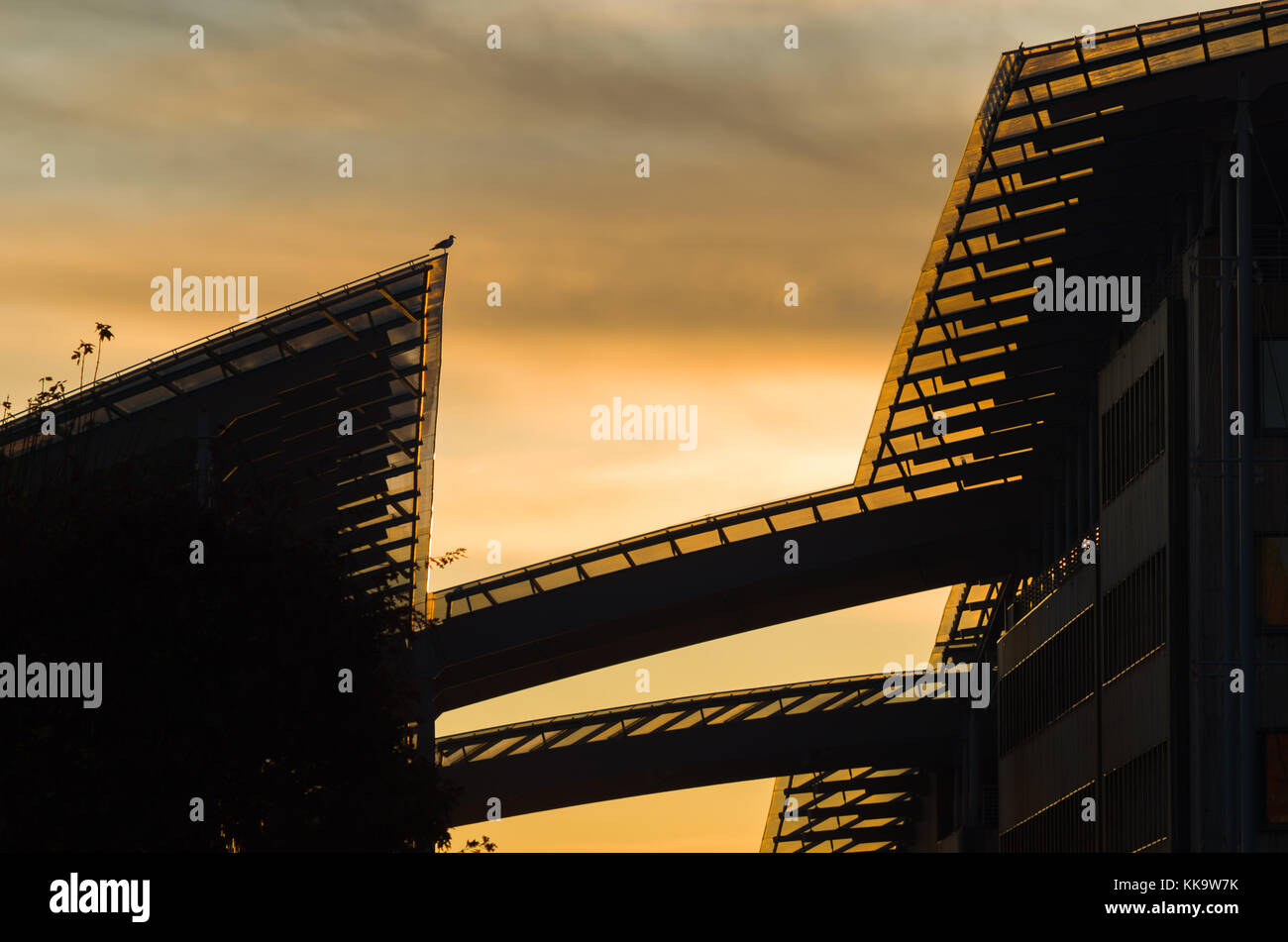 Le Seagull est assis sur le toit d'Astrup Fearnley Museum of Modern Art, sur fond de nuages spectaculaires de la coucher du soleil. Tjuvholmen, Oslo, Norvège. Banque D'Images