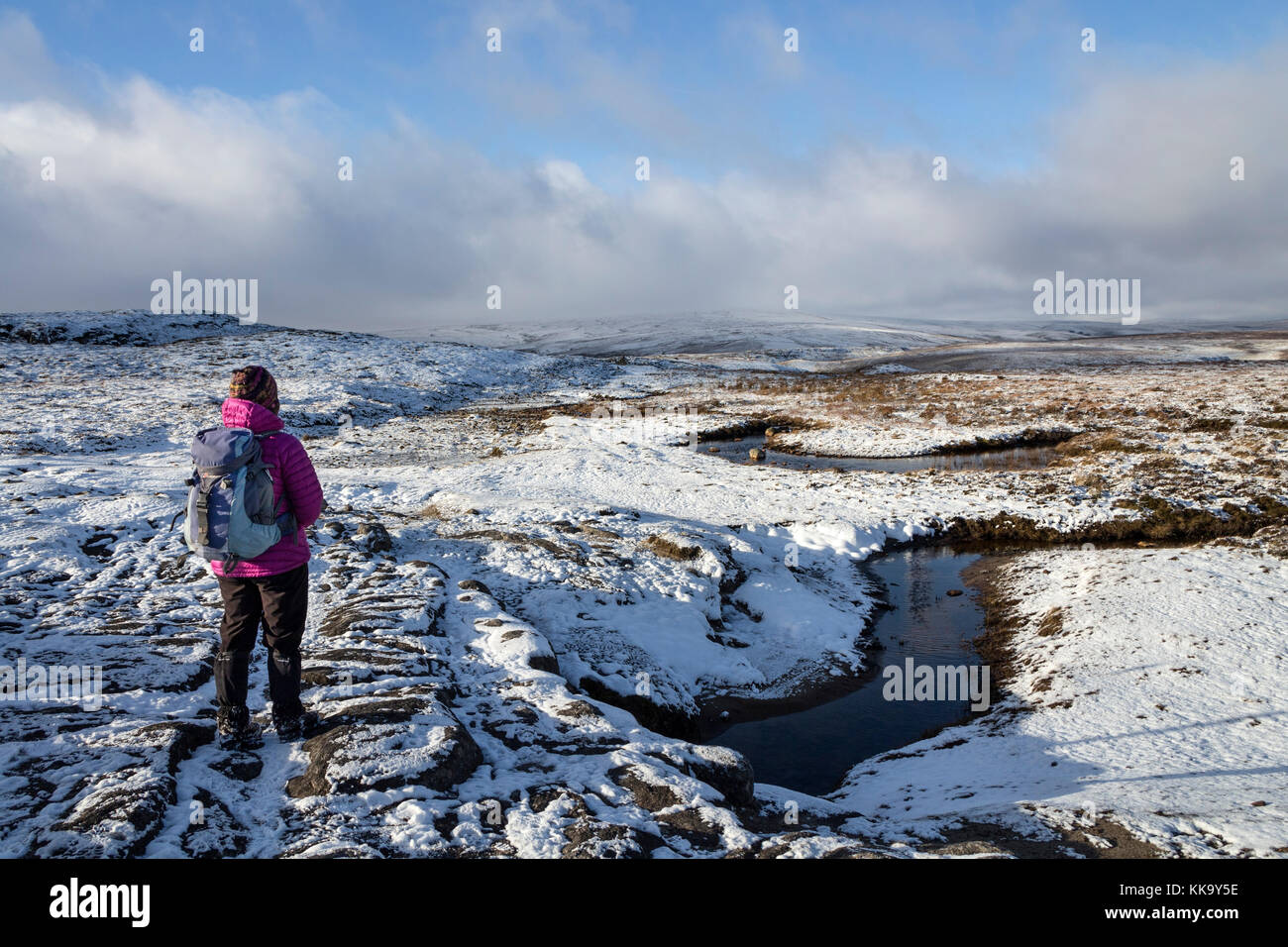 Walker au printemps bien blanc sur Cronkley ont chuté en hiver, la région de Teesdale, County Durham UK Banque D'Images