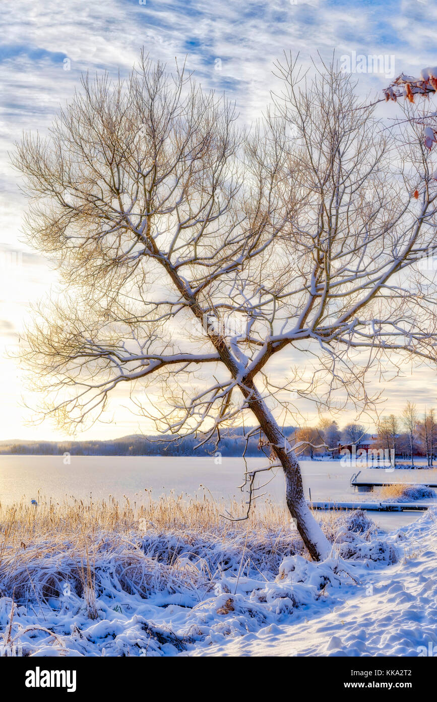 Matin d'hiver froid en Scandinavie Banque D'Images