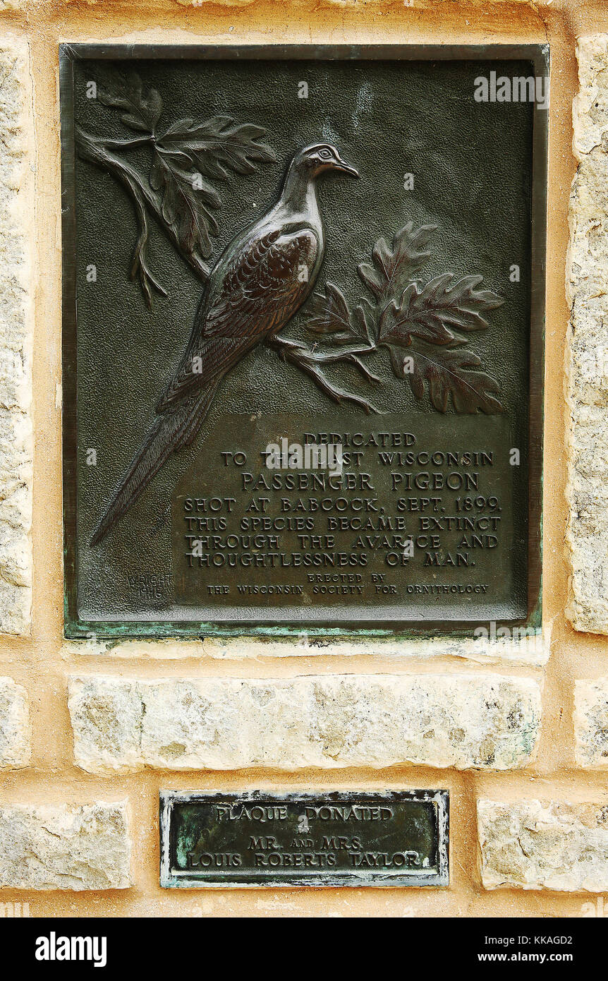 Bagley, Iowa, États-Unis. 8 juin 2017. Une plaque de bronze dans le parc national de Wyalusing dédiée à la dernière balle de passagers du Wisconsin près de Babcock en septembre 1899. Crédit : Kevin E. Schmidt/Quad-City Times/ZUMA Wire/Alay Live News Banque D'Images