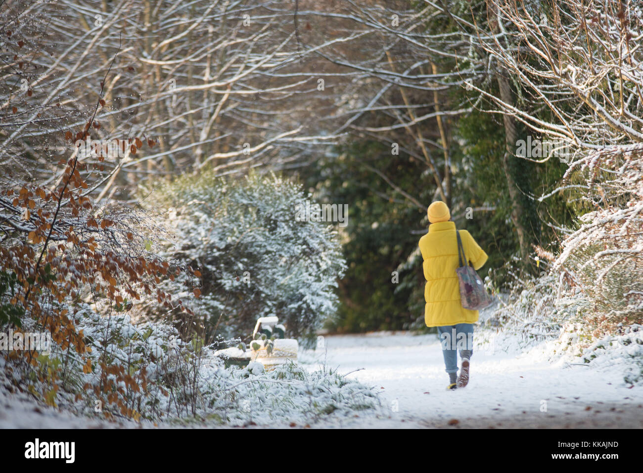 Deeside Way, Aberdeen . 30 novembre, 2017. Un marcheur sur le chemin de façon à Deeside Aberdeen cultes de profiter de la neige. Crédit : Paul Glendell/Alamy Live News Banque D'Images