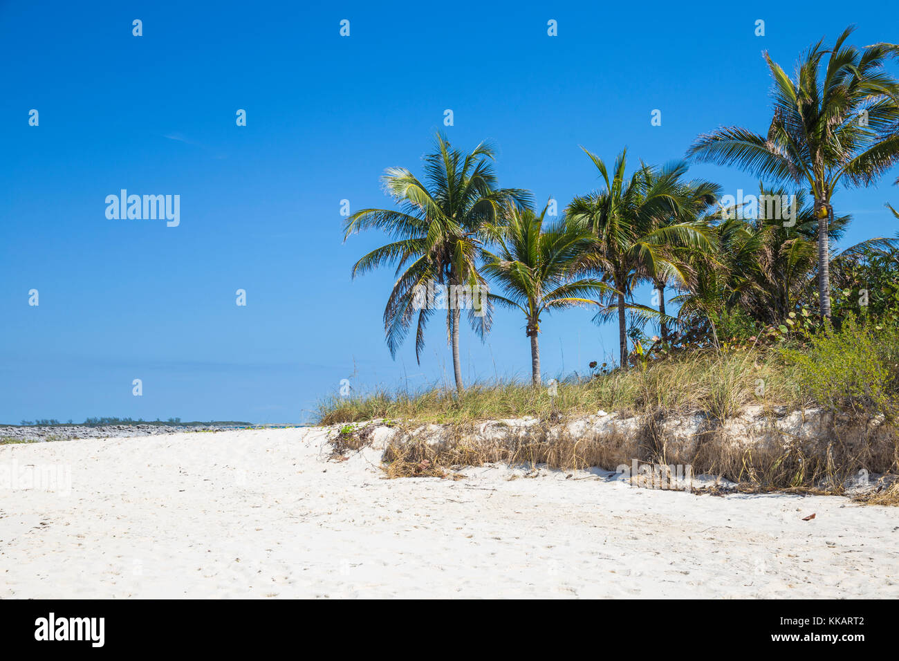 Cabbage beach, Paradise Island, Nassau, Bahamas, Antilles, Caraïbes, Amérique Centrale Banque D'Images