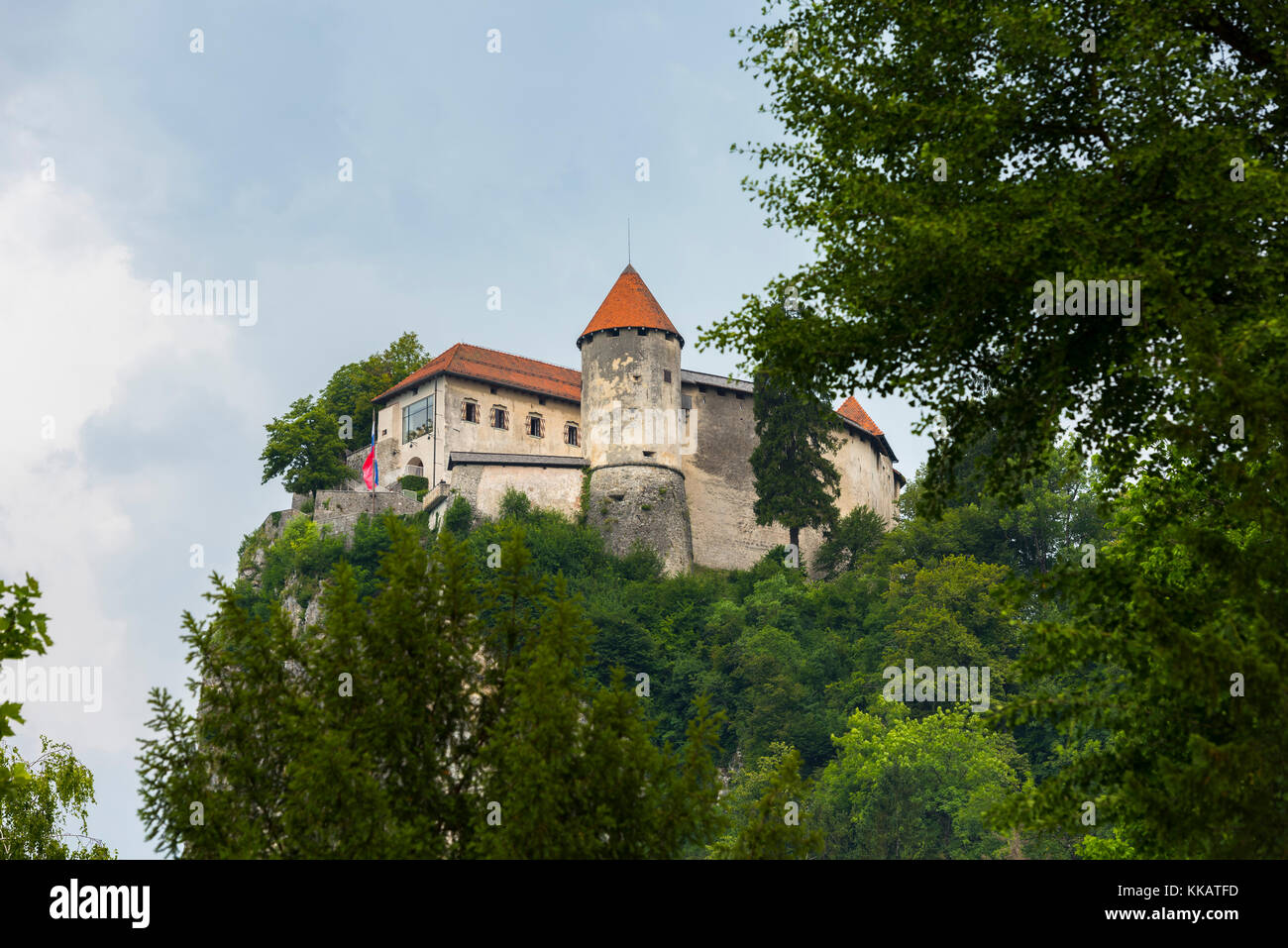 Château de Bled, Bled, Slovénie, Europe Banque D'Images