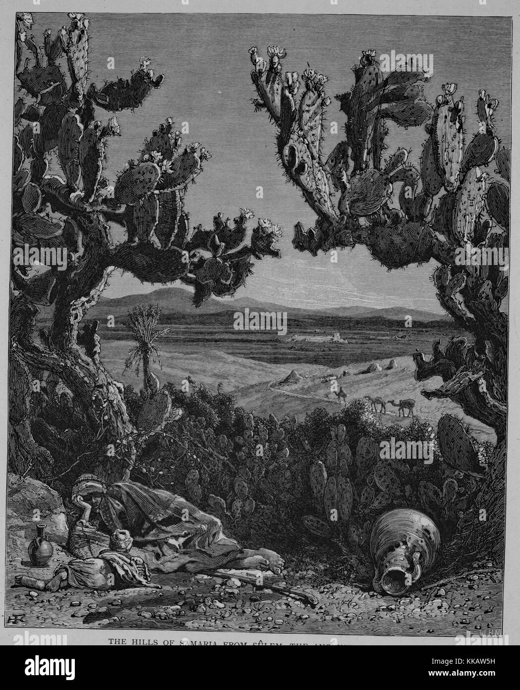 La gravure sur bois représentant un homme, porter des robes et d'un turban, reposant sur le sol, grand bocal par ses pieds, grand cactus sur lui, une vallée avec des chameaux dans l'arrière-plan, sous-titrée "Les collines de Samarie de Sulem, l'ancienne Sunem, Zerin (Jizreel) apparaît sur la plaine en contrebas, et au premier plan il y a un exemple caractéristique du cactus Opuntia (figuier de Barbarie) en fleurs', le livre de la Palestine, le Sinaï, pittoresque et de l'Égypte, par Sir Charles William Wilson, 1882. À partir de la Bibliothèque publique de New York. Banque D'Images