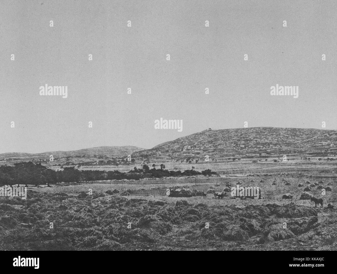 Une photographie de paysage Mar Elias vu depuis le château Saint-Louis, le château a été construit par les croisés français en 1254, Saïda, Liban, 1874. À partir de la Bibliothèque publique de New York. Banque D'Images