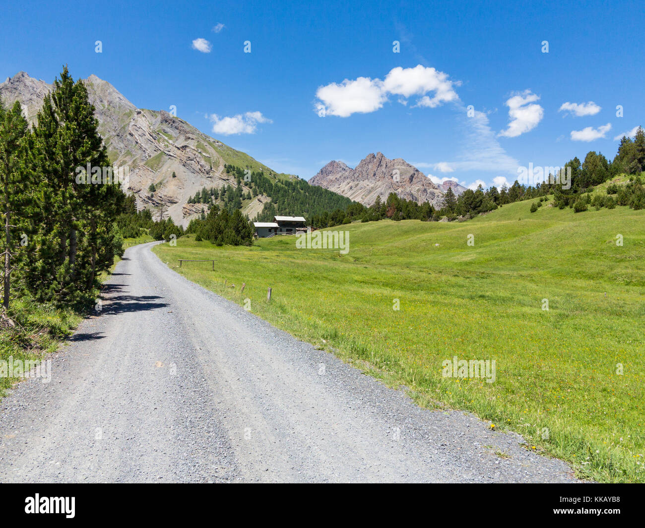 Parc national de Stelvio - Forêt et collines en Valteline Banque D'Images