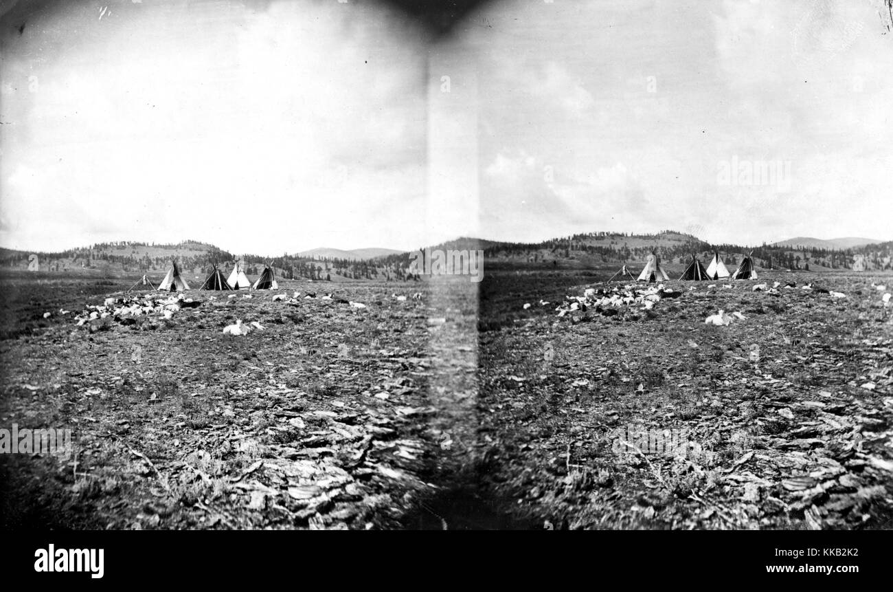Stéréophotogramme du camp et un troupeau d'animaux appartenant à des membres de la tribu du SEI sur les Indiens d'Amérique, Colorado. Image courtoisie USGS. 1875. Banque D'Images