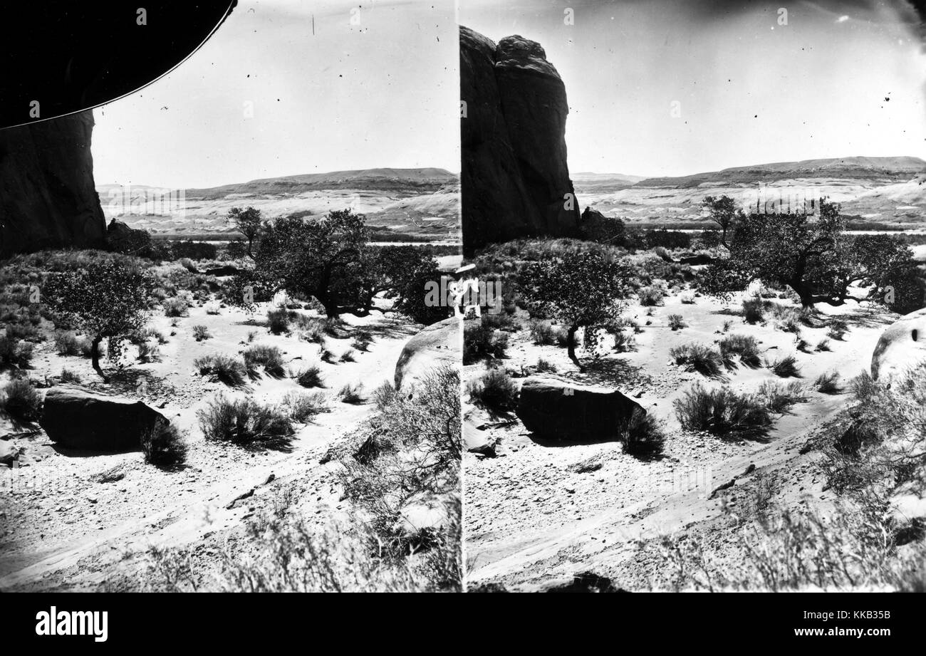 Stéréophotogramme d'avis d'un glen Glen Canyon. Image courtoisie USGS. 1875. Banque D'Images