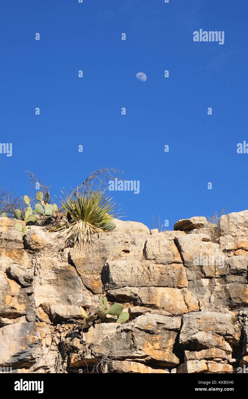 souhaits Banque D'Images