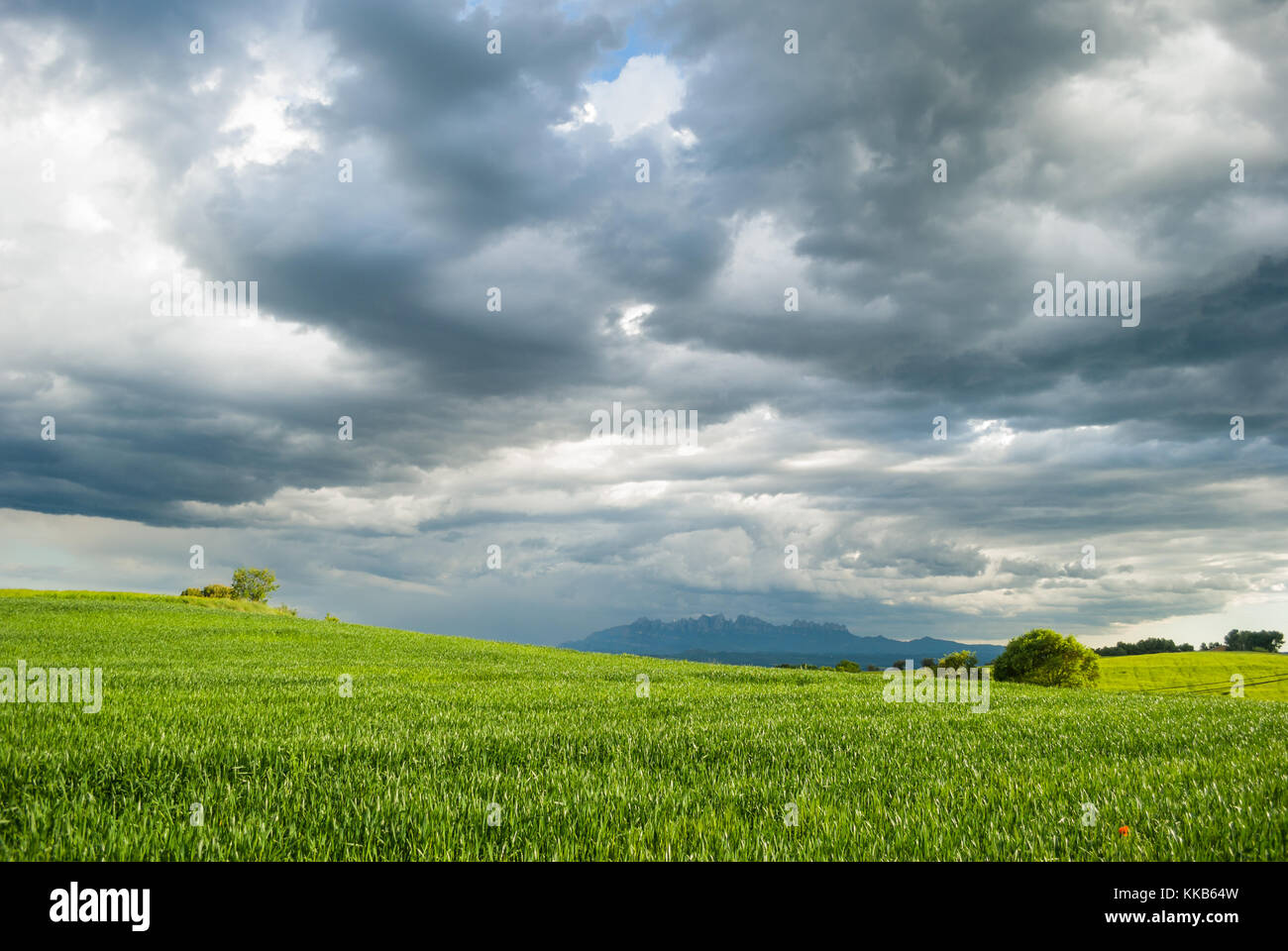 Paysage, pré vert avec les nuages de tempête avec en toile de fond la montagne de Montserrat Banque D'Images