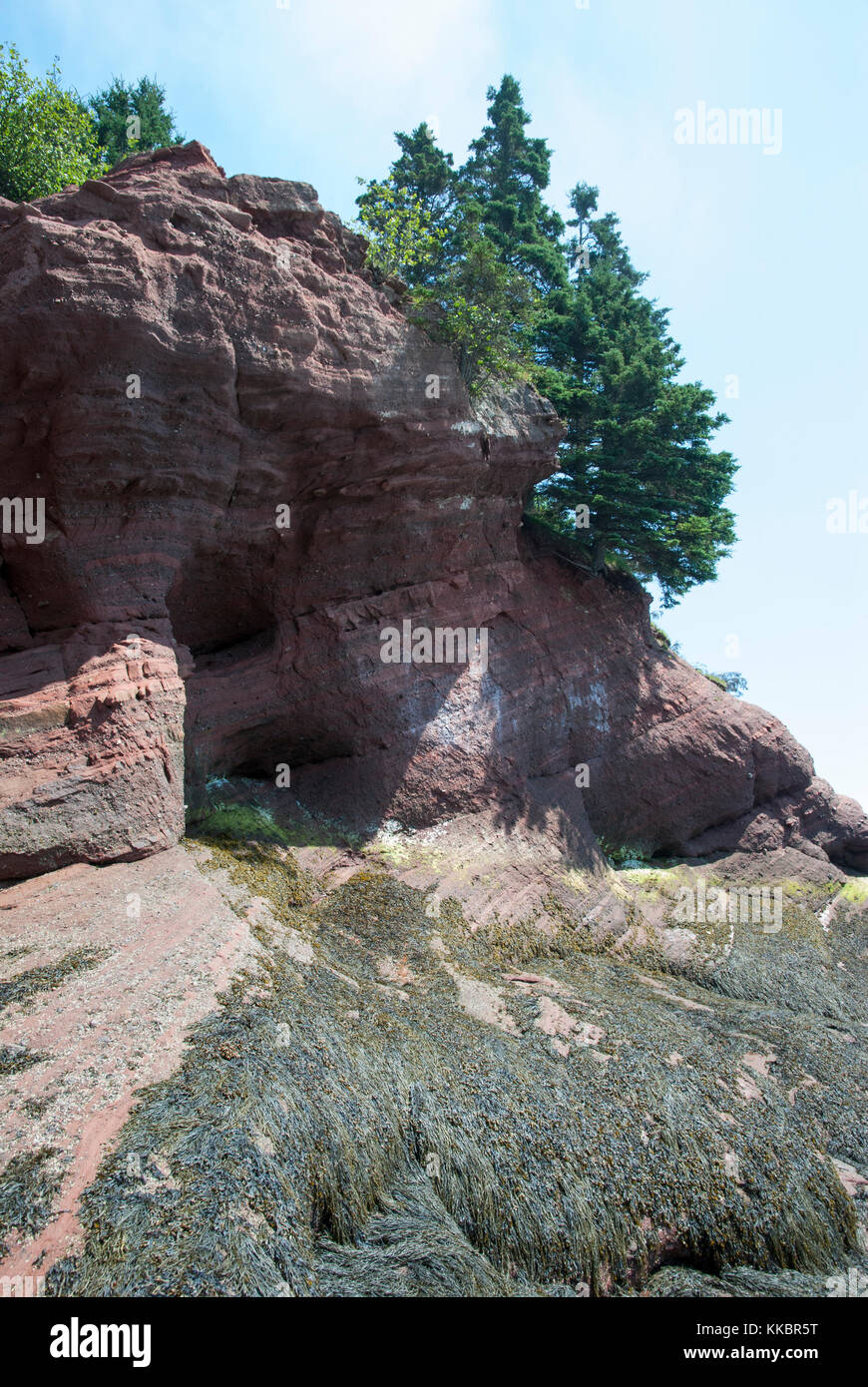 St. martins grottes marines paysage célèbre pour ses grandes marées extrêmes (Nouveau-Brunswick, Canada). Banque D'Images