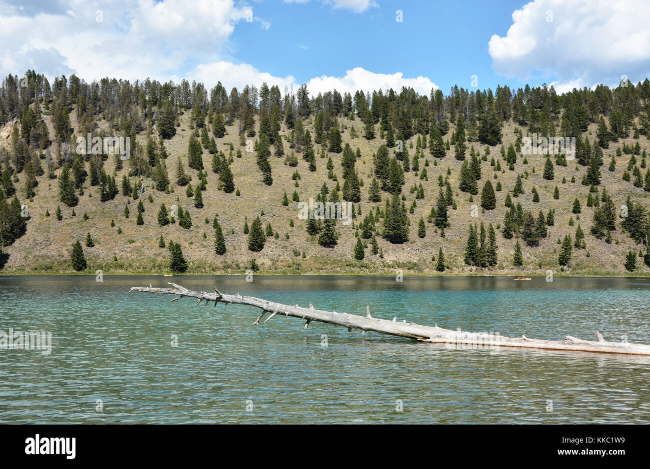 Lake dans le parc national de Yellowstone Banque D'Images