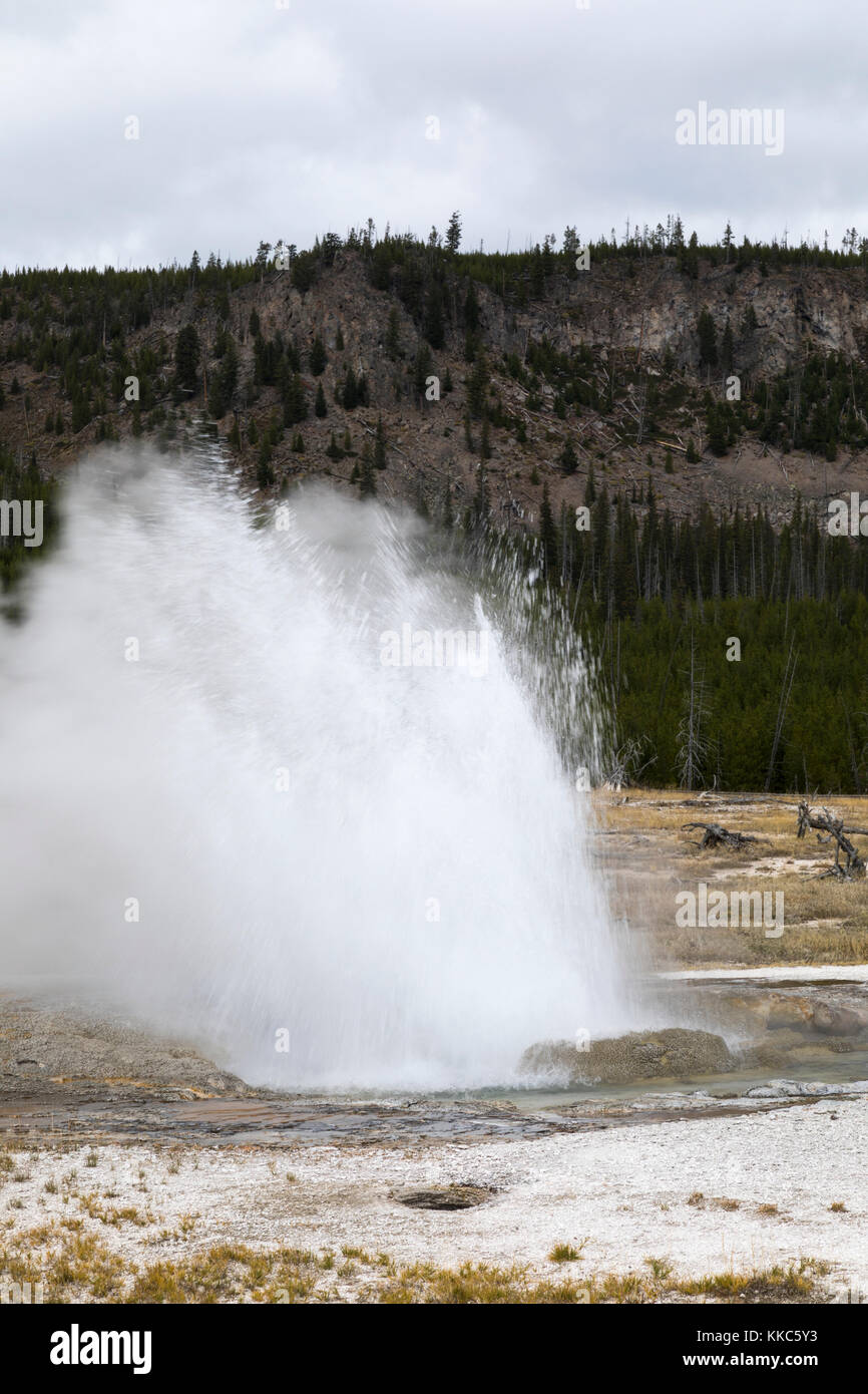 Jewel geyser qui éclaterait en biscuit geyser Basin, parc national de Yellowstone Banque D'Images