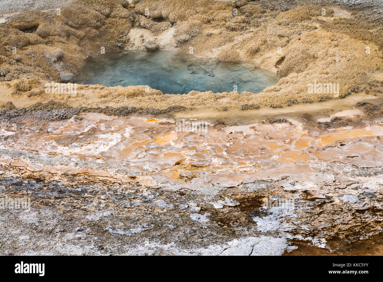 En fonction thermique printemps moutarde biscuit geyser Basin, parc national de Yellowstone Banque D'Images