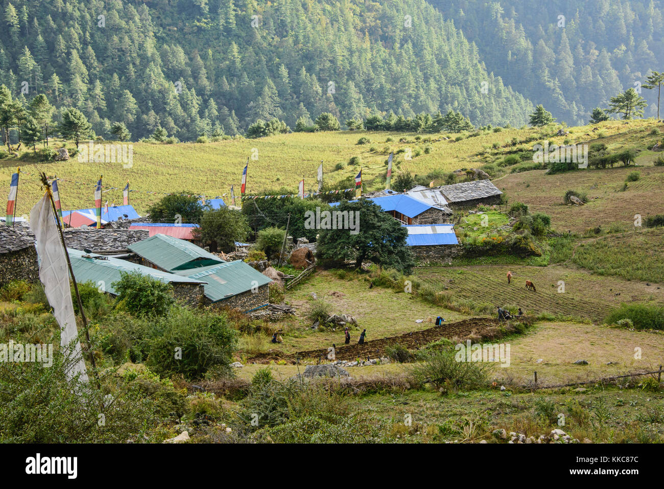 Voir d'Chokkang Paro et la vallée de Tsum, Népal, du district de Gorkha Banque D'Images