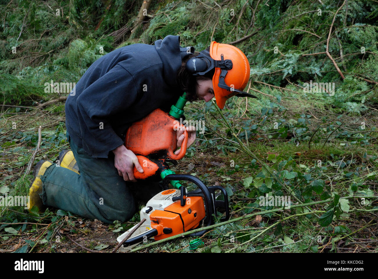 Jeune homme travailleur forestier verser de l'huile de chaîne dans le réservoir d'huile de tronçonneuse, Pays de Galles, Royaume-Uni. Banque D'Images