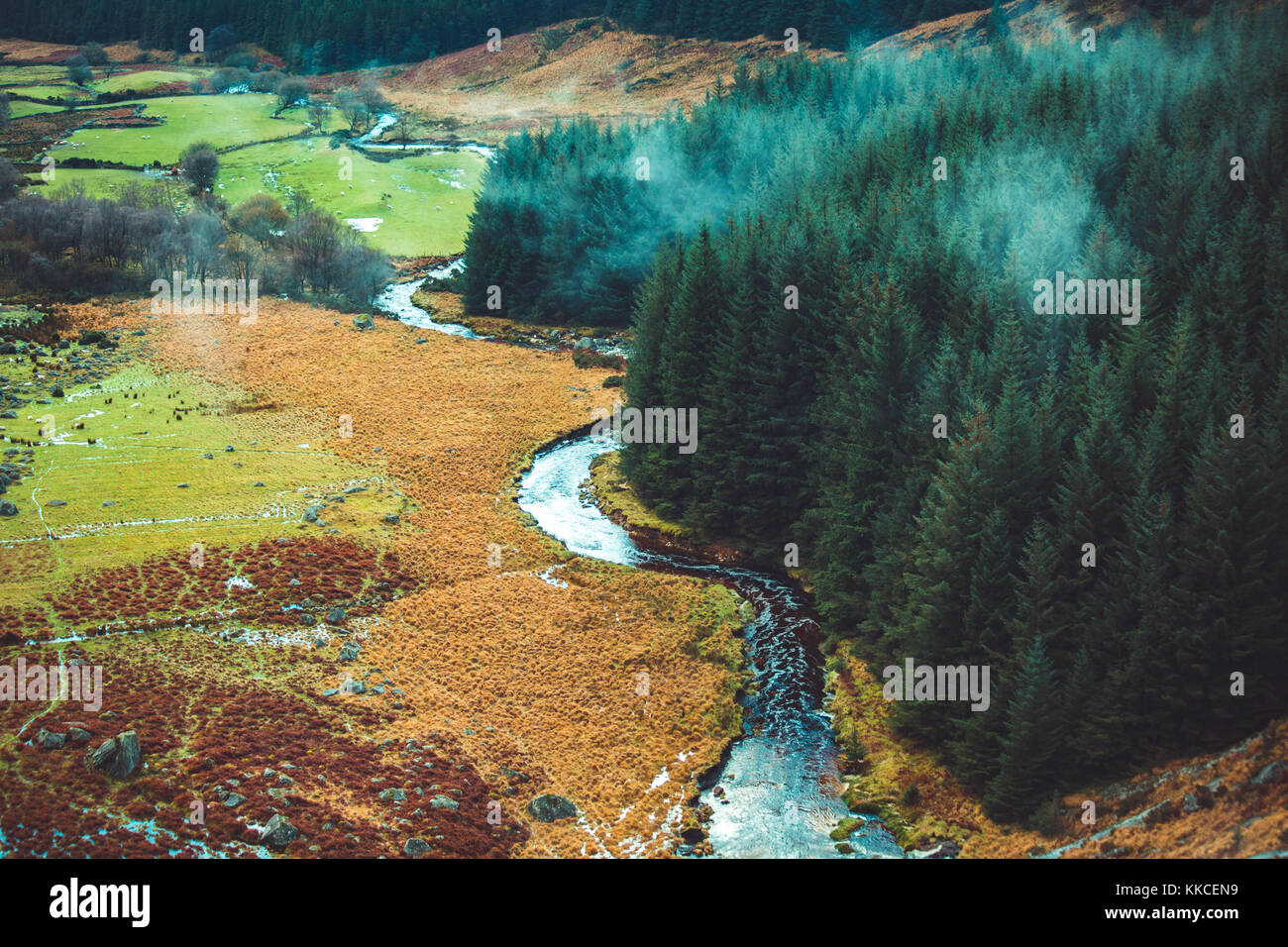 Vue paysage sur une vallée au-dessous de la chute près de glenmacnass laragh et de glendalough dans le comté de Wicklow, Irlande Banque D'Images