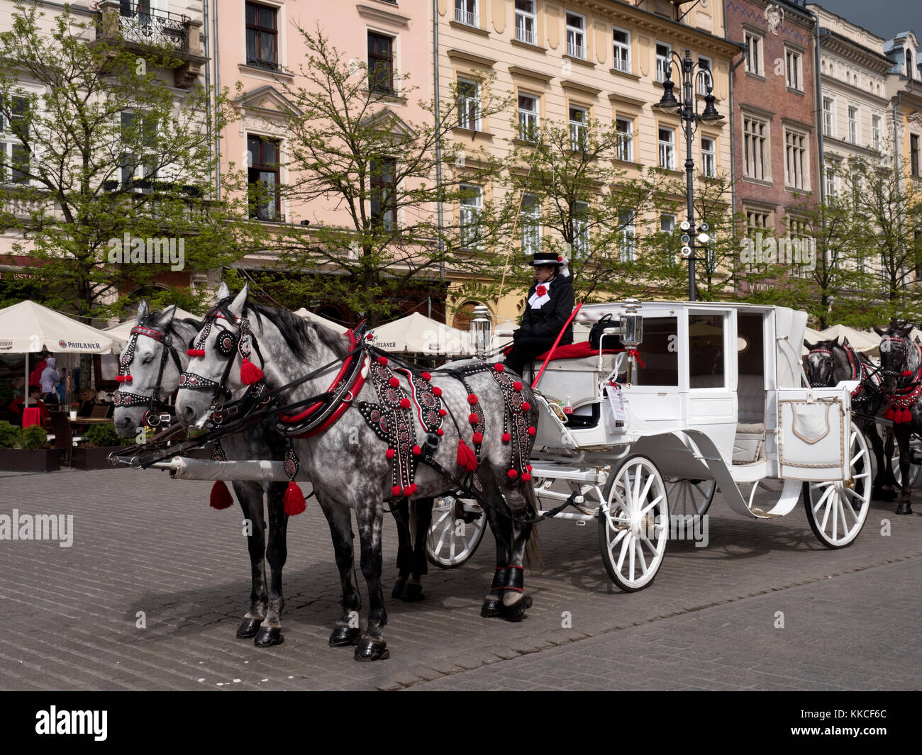 Transport de chevaux et aux touristes des visites guidées à Rynek, Cracovie, Pologne, Europe. Banque D'Images