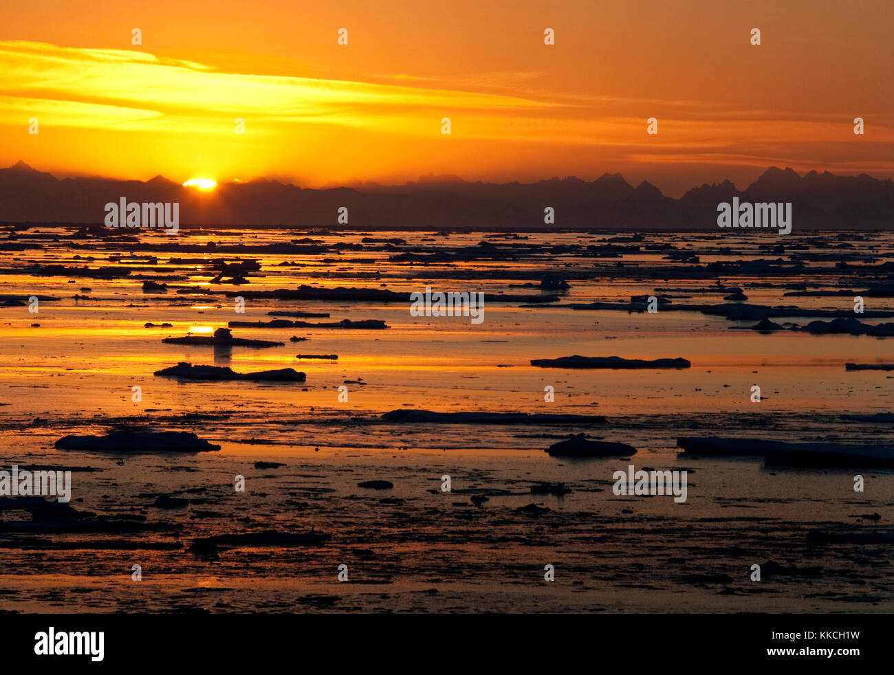 Le soleil de minuit et la glace de mer dans l'océan Arctique au large de la côte est du Groenland Banque D'Images