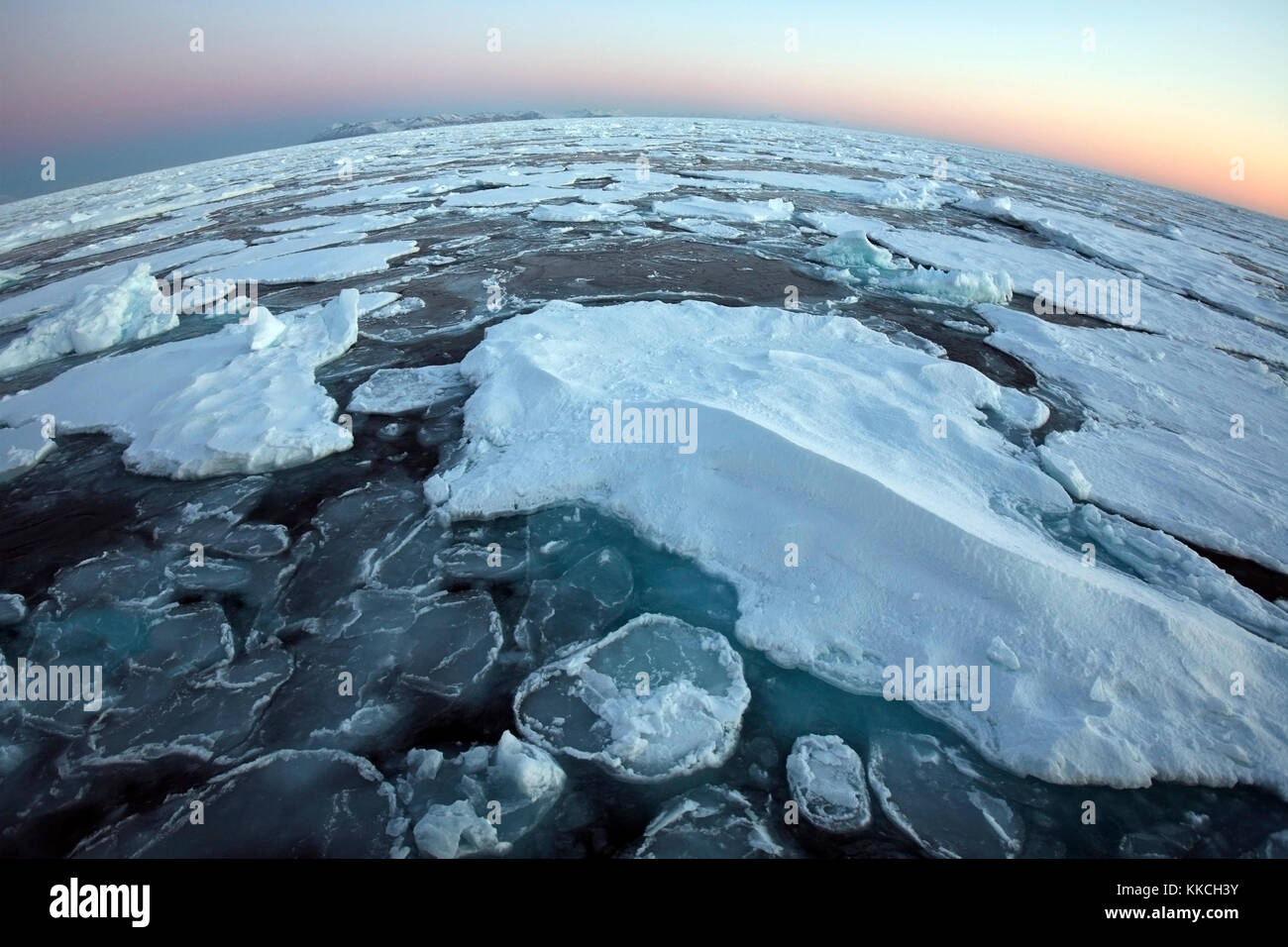 La glace de mer dans l'océan Arctique au large de la côte est du Groenland du nord Banque D'Images