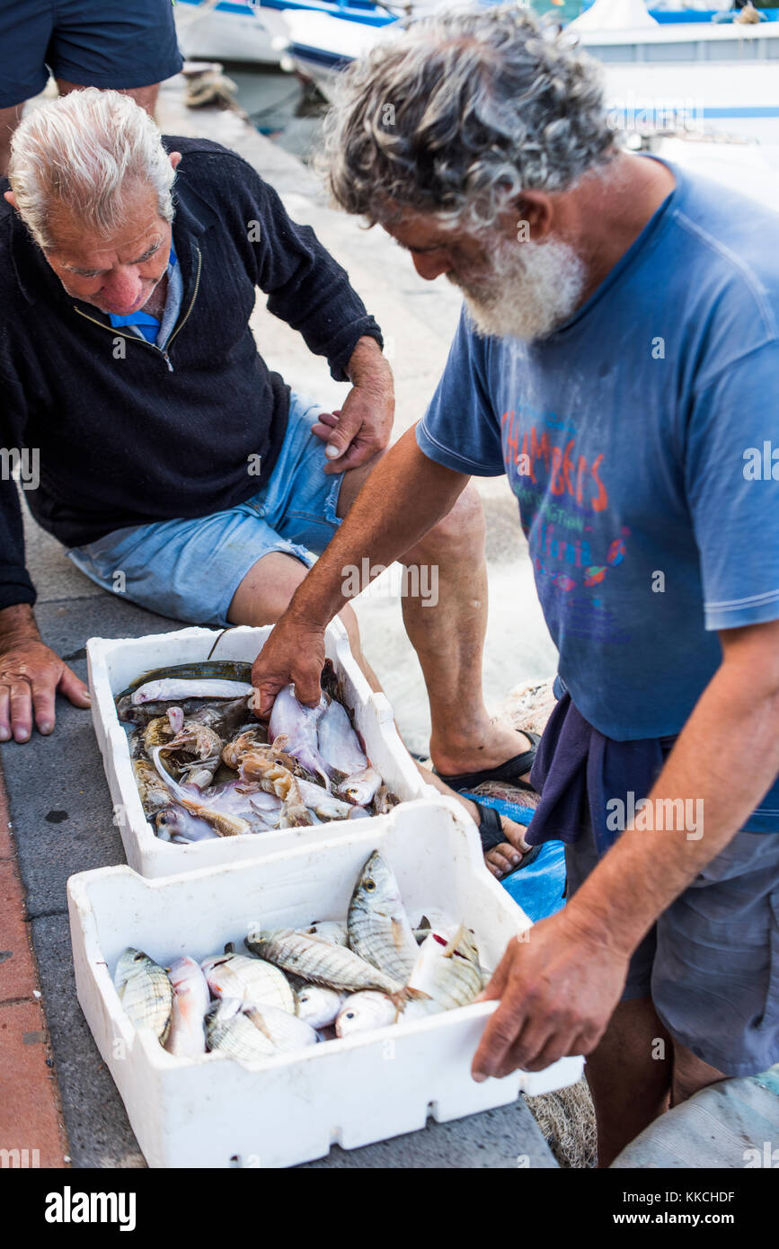 Sur le pêcheur de poisson pris ce matin-là, le port d'Agropoli. Banque D'Images