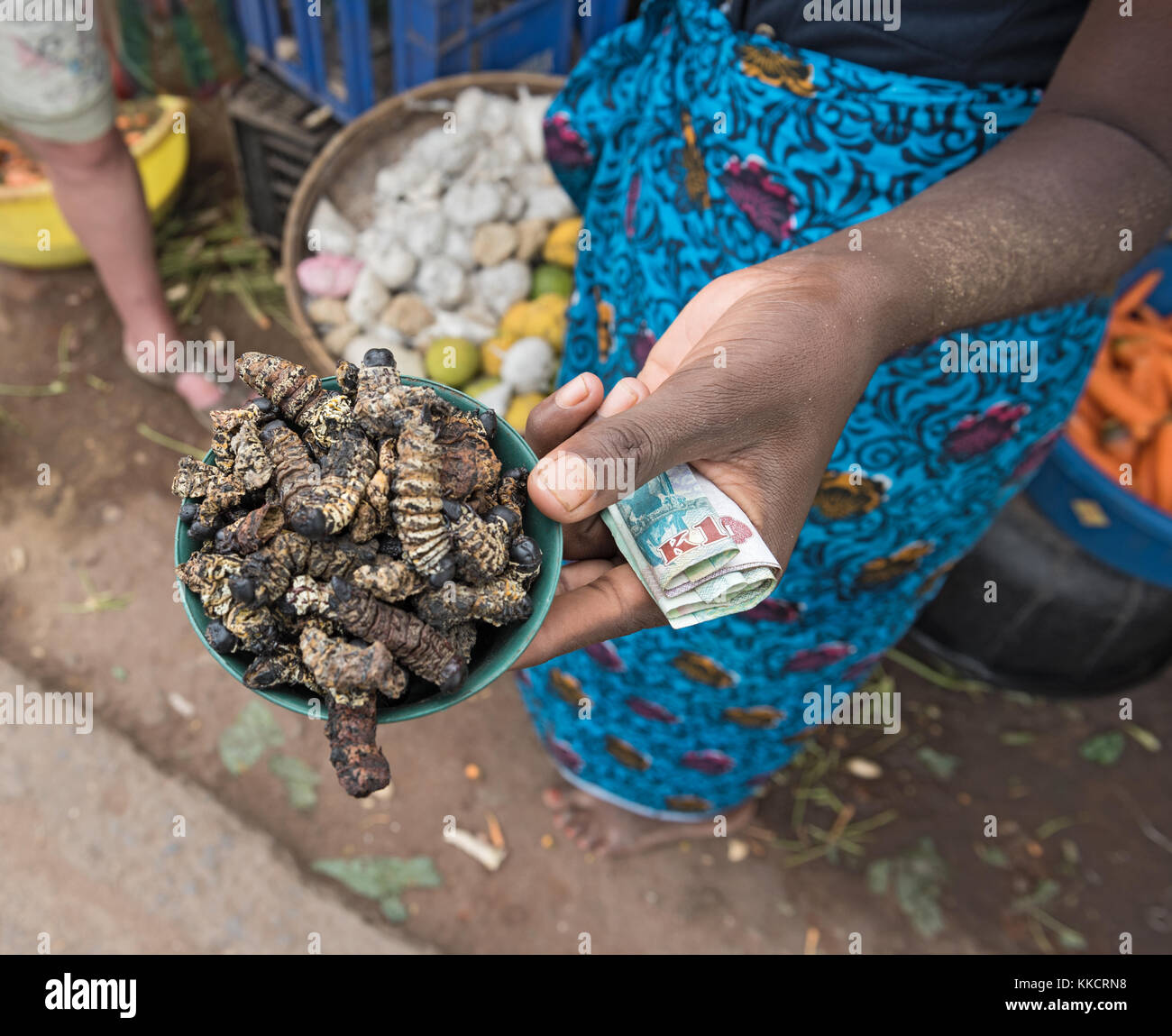 Petit bol de chenilles mopane grillés, gonimbrasia belina au marché de Livingstone, Zambie Banque D'Images