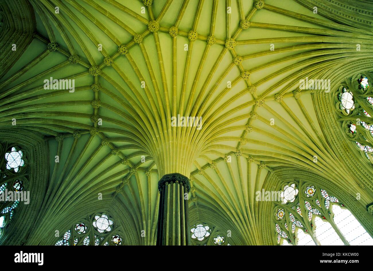 Fan de pierre voûtes et fenêtres du plafond de la salle du chapitre de la cathédrale de Wells, Somerset, Angleterre. Banque D'Images