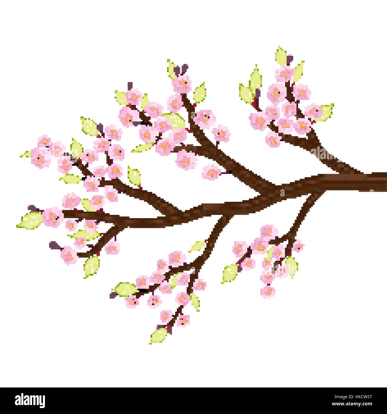 Sakura cherry blossom flower leaf tree branch Illustration de Vecteur