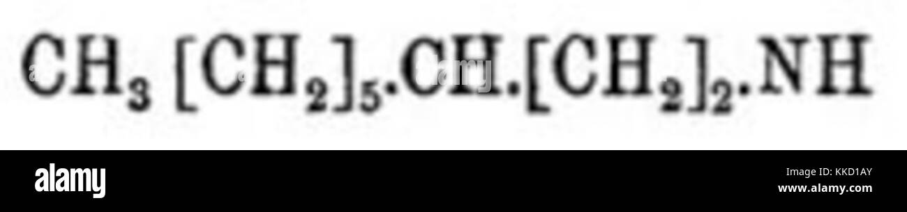 Dictionnaire encyclopédique Brockhaus et Efron b52 829-2 Banque D'Images