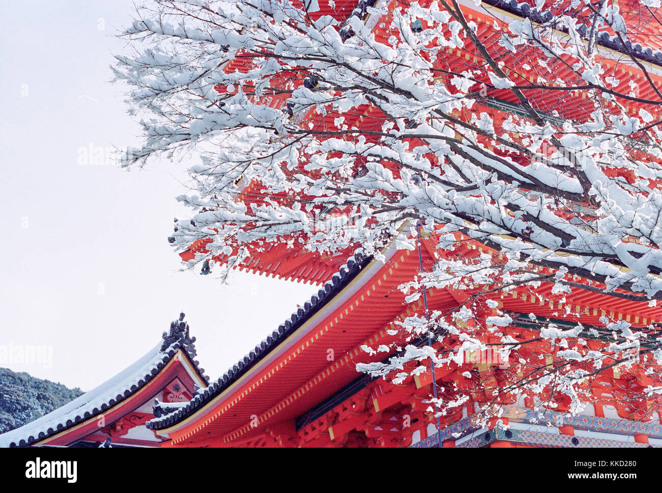 Temples japonais rouge recouvert de neige Banque D'Images