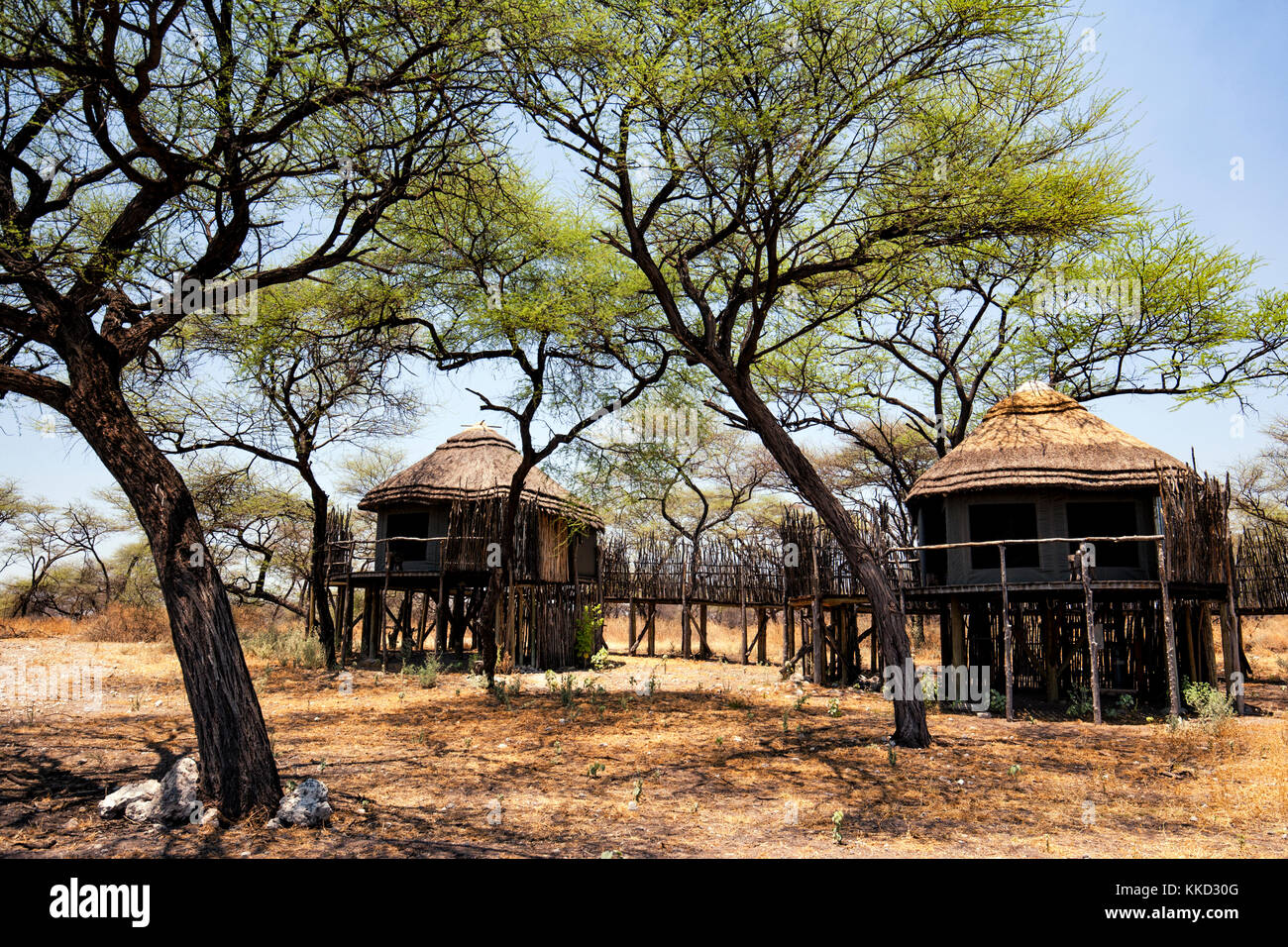 L'extérieur de maisons dans les arbres à onguma tree top camp onguma, réserve de chasse, la Namibie, l'Afrique Banque D'Images