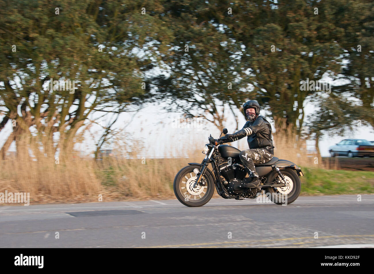 Man riding une moto Harley Davidson Banque D'Images