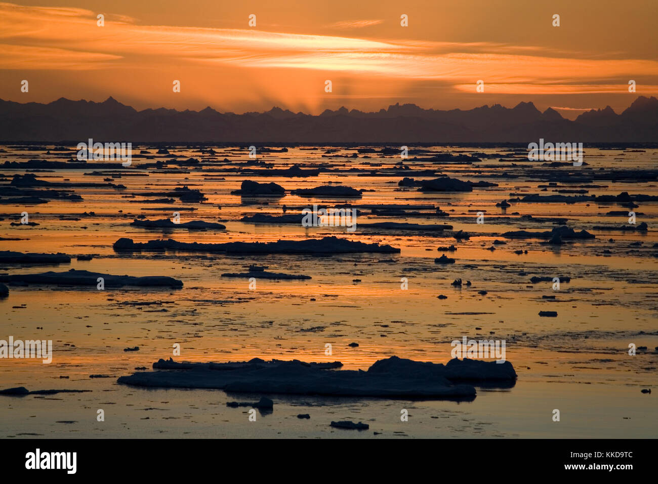 Soleil de minuit sur la glace de mer et les montagnes de la côte ouest du Spitzberg Svalbard dans les îles de l'Arctique Banque D'Images