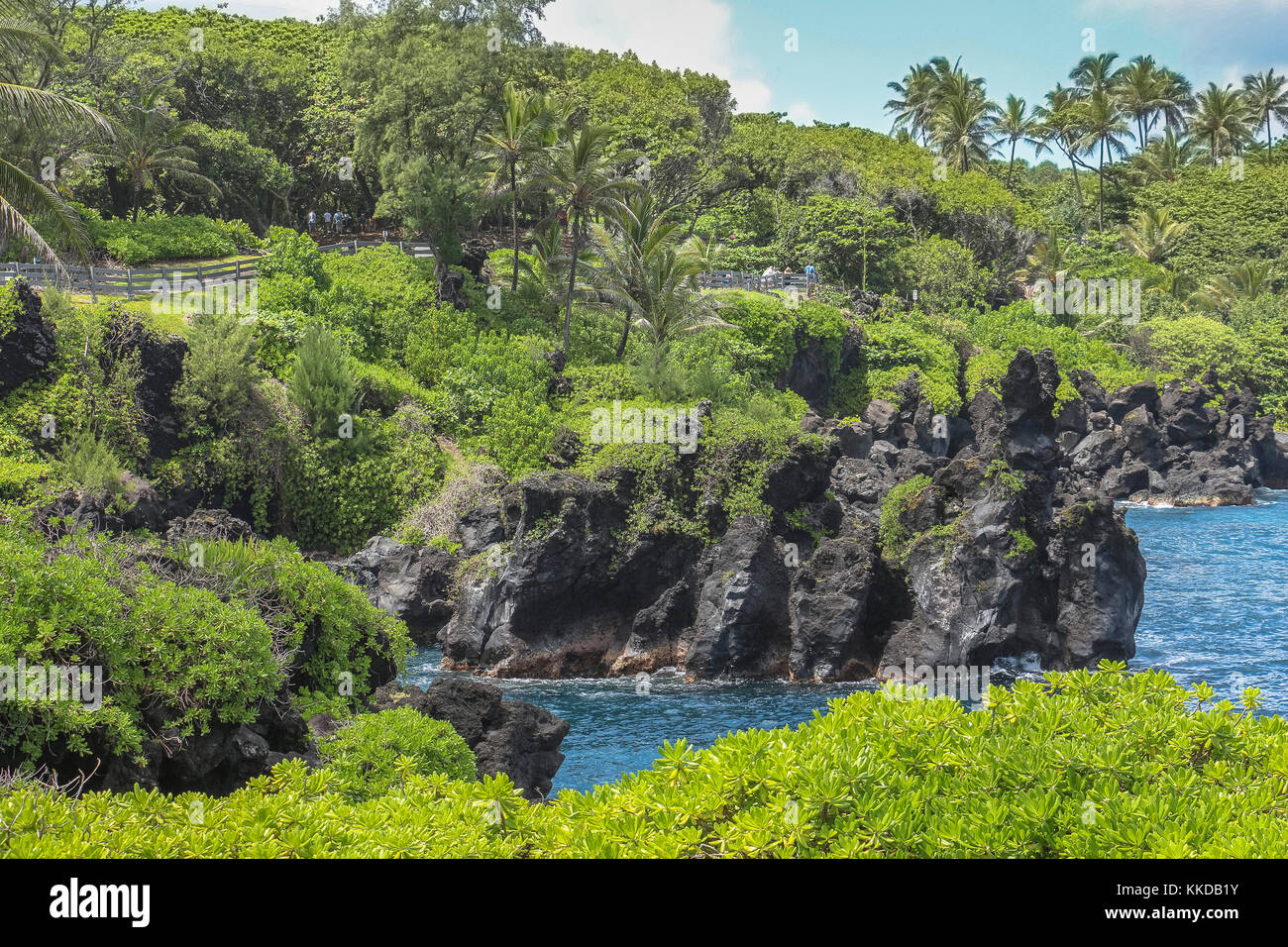 La pierre de lave côte de Maui, Route de Hana sur Hawaii Banque D'Images