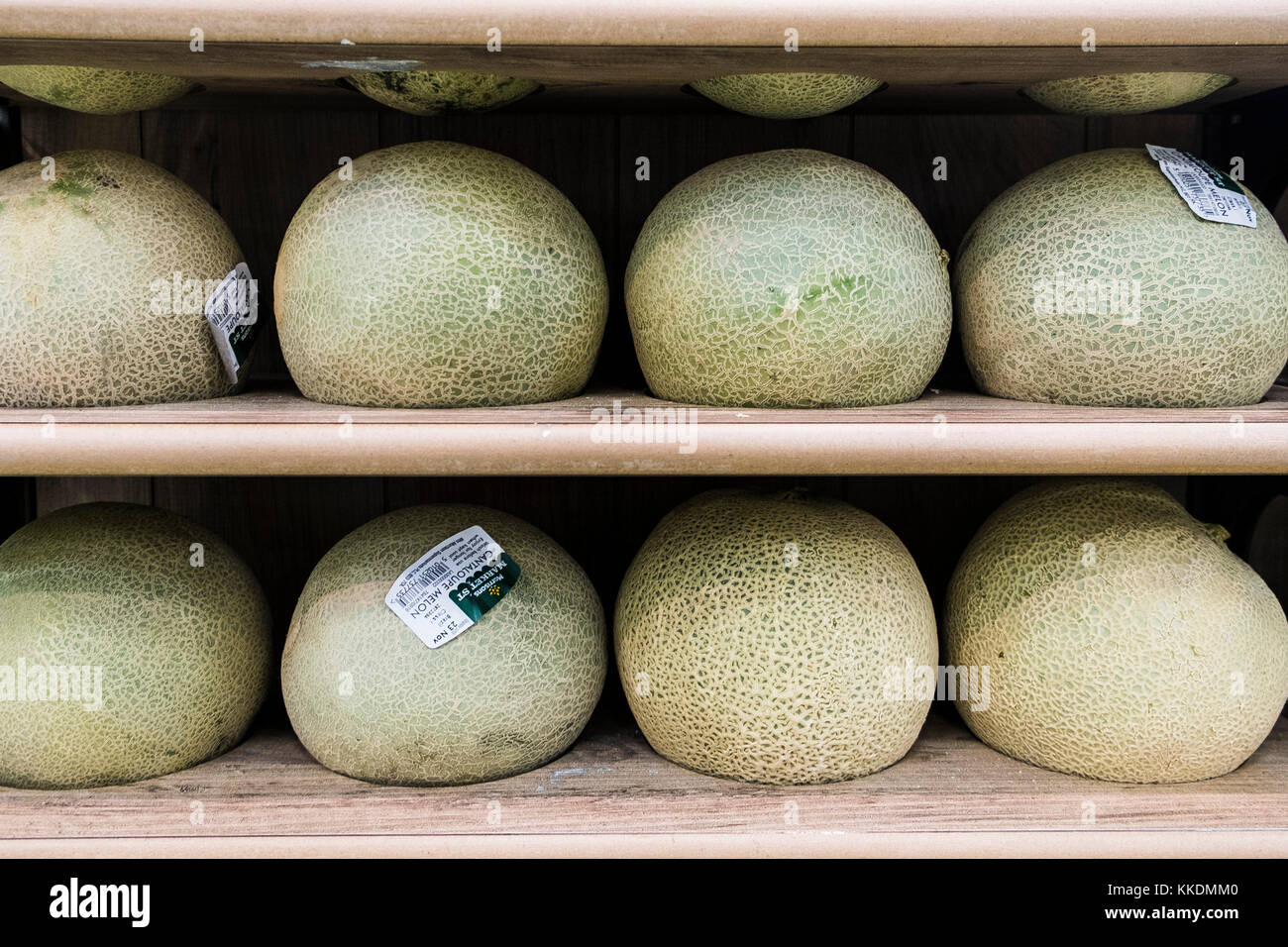 Un écran de Cantaloupe Melons Cucumis melo var. cantalupo. Banque D'Images