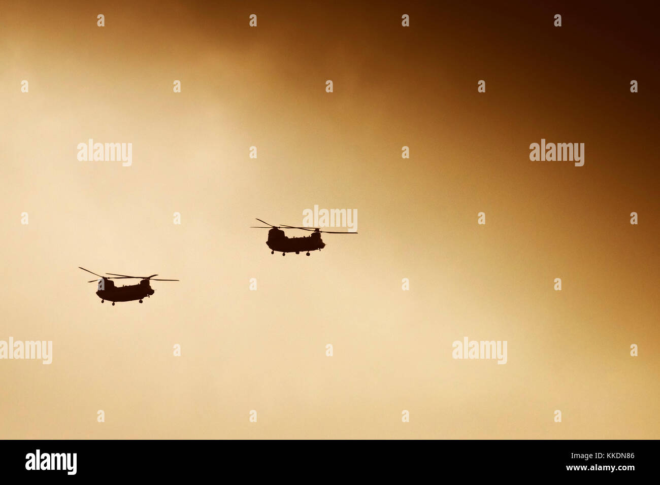 - Deux hélicoptères Chinook vu en silhouette volant dans la lumière du soleil de fin de soirée. Banque D'Images