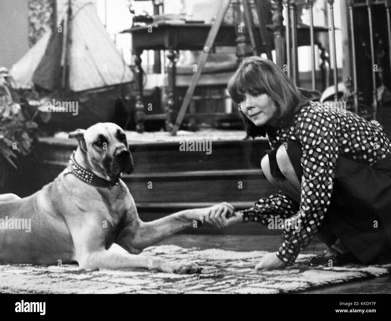 Un portrait ou une référence à Diana Rigg, actrice de renom, de 1973, mettant en valeur sa notoriété dans l'industrie du divertissement au cours des années 1970 Banque D'Images