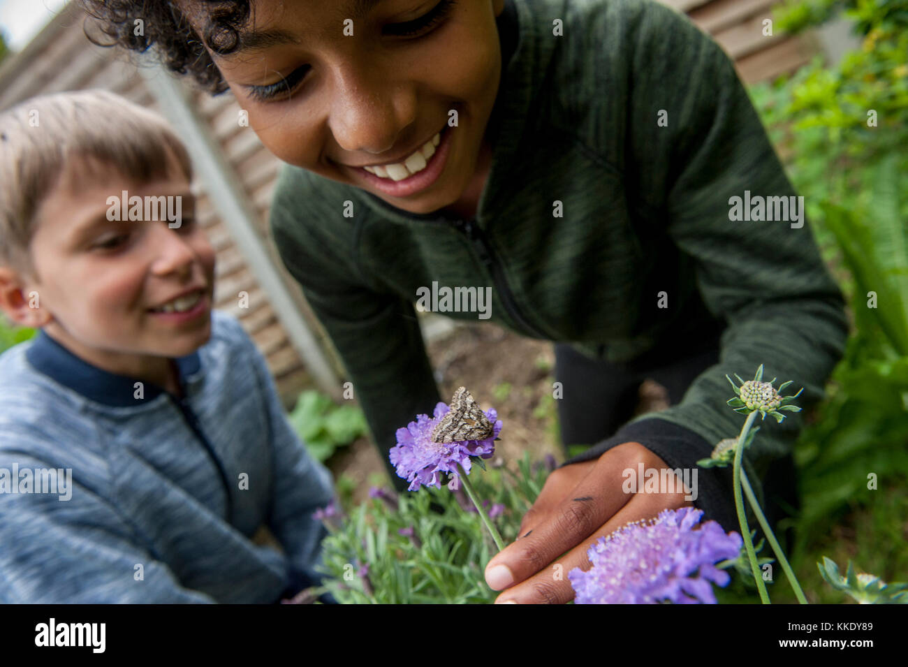 Événement sleepout big wild pix . Des images de jeunes enfants/ les enfants et les parents dans leur jardin à l'arrière du milieu de l'après-midi jusqu'à la nuit, profitent d'activités, par exemple, la fabrication d'un den, à la recherche de bugs, publiant de la nourriture pour chiens pour les hérissons, faire griller des guimauves autour d'un feu de camp, espèce de piégeage, à la recherche de la faune nocturne. Banque D'Images