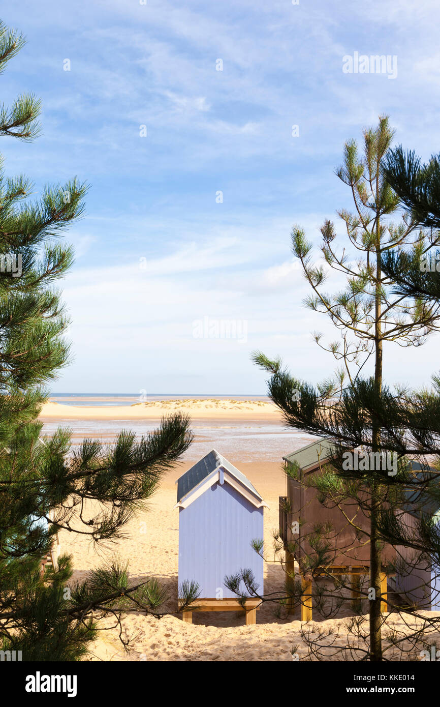 Cabane de plage et des dunes de sable vue à travers les arbres conifères Banque D'Images
