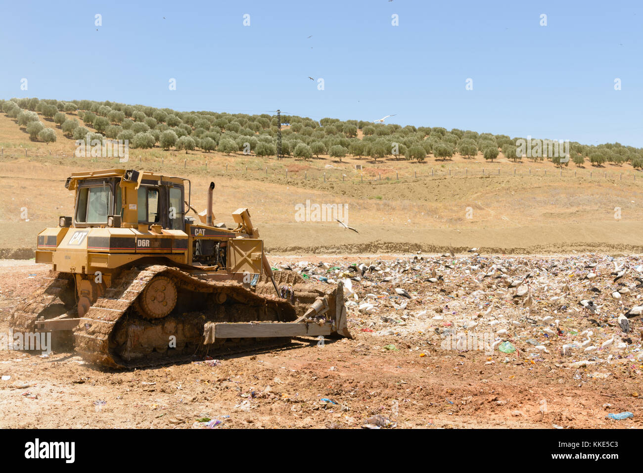 Compacteur d'ordures poussant Banque D'Images