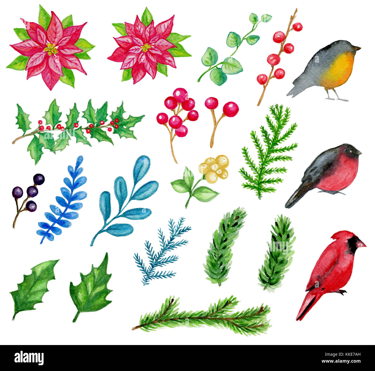 Ensemble d'aquarelle à la main des éléments de conception de noël sur un fond blanc. d'oiseaux et de plantes. Banque D'Images