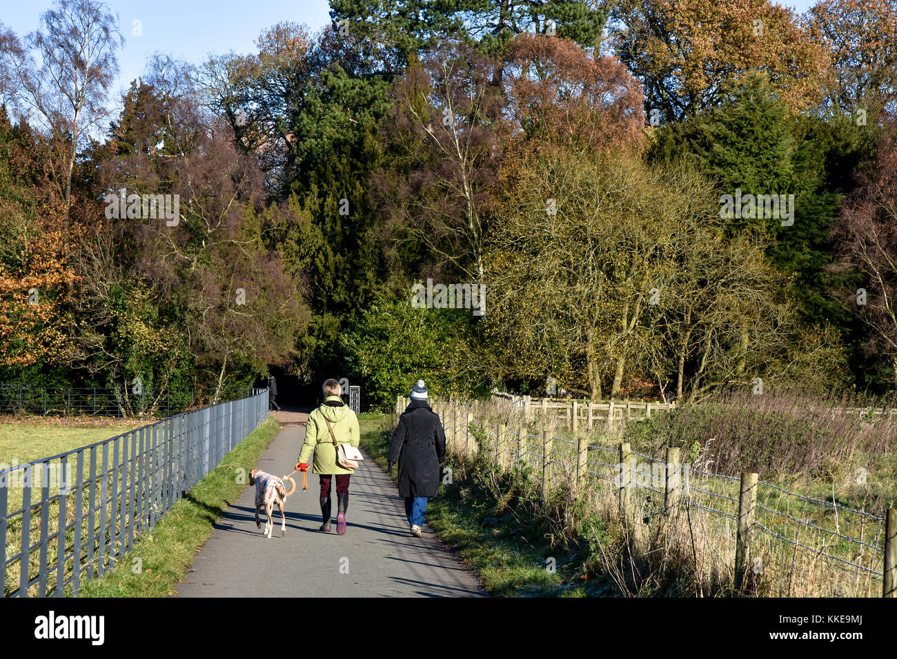 Les promeneurs de chiens à la périphérie de Shugborough Hall, Staffordshire par une froide journée de novembre winters Banque D'Images