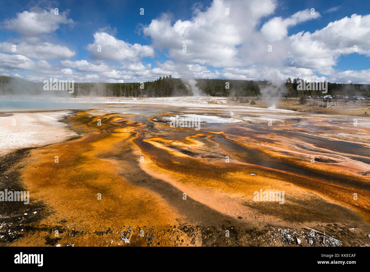 Piscine et le mouchoir en fonction thermique geyser geyser basin de sable noir, parc national de Yellowstone Banque D'Images