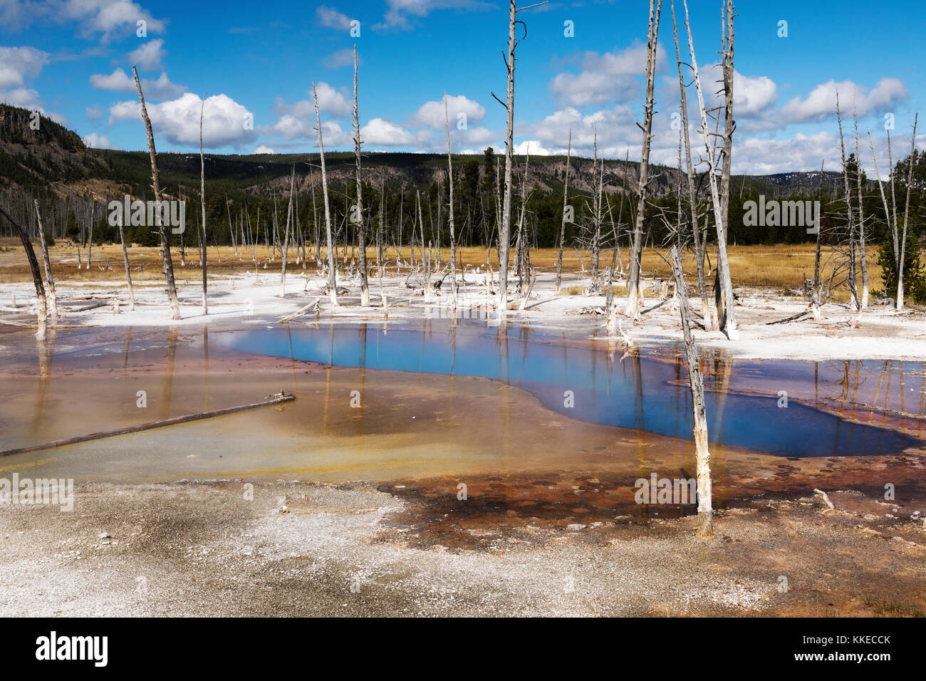 Piscine opalescent caractéristique thermique dans le sable noir geyser Basin, parc national de Yellowstone Banque D'Images